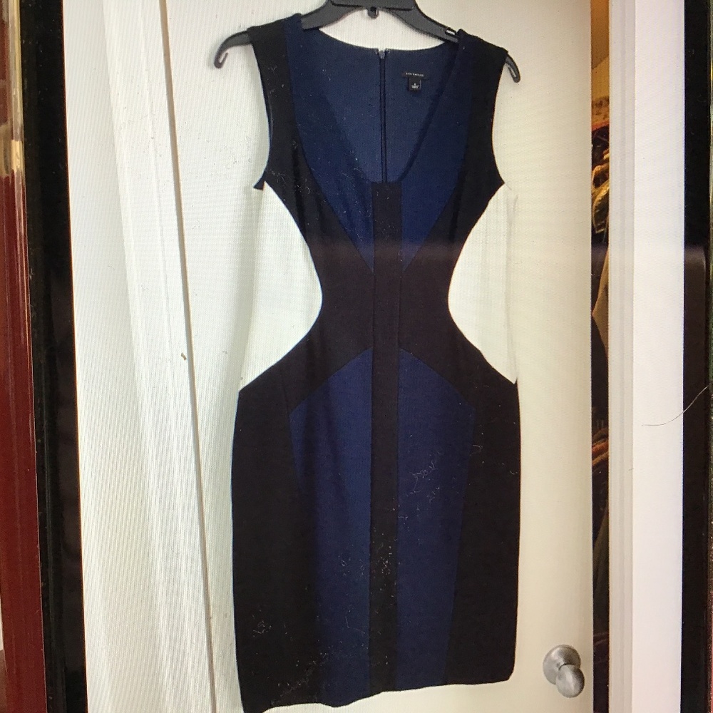 Ann Taylor Dress